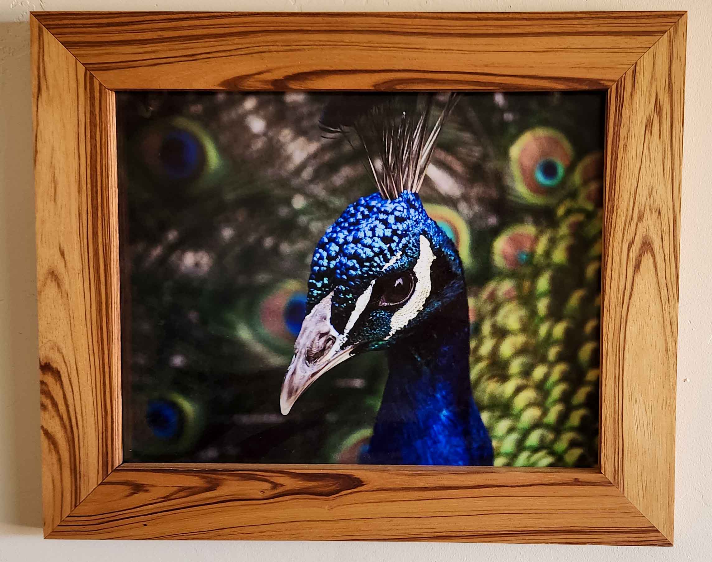 Exotic Hardwood Picture Frames